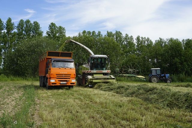 Хозяйства Ярославского района продолжают заготовку кормов