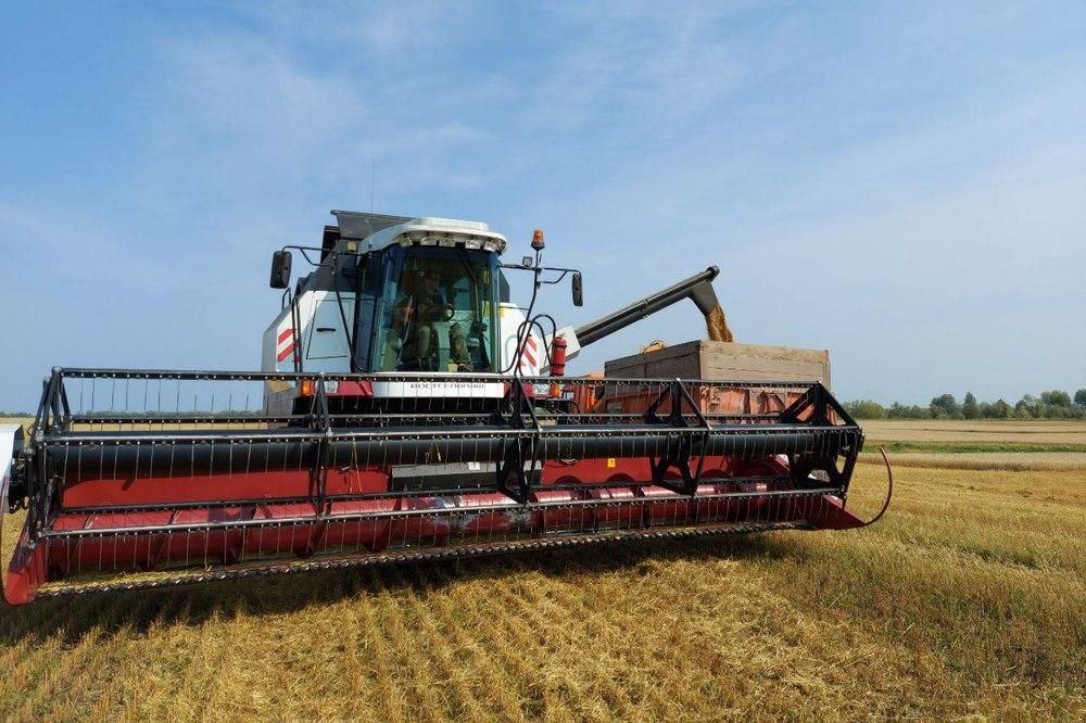 В сельхозпредприятиях Ярославского района продолжается уборка урожая
